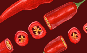 Watercolor chilli pepper